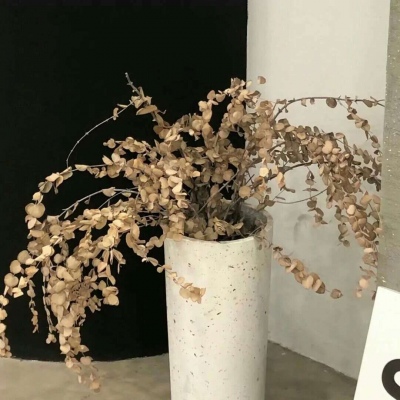 兽设潮流风格设计福瑞群